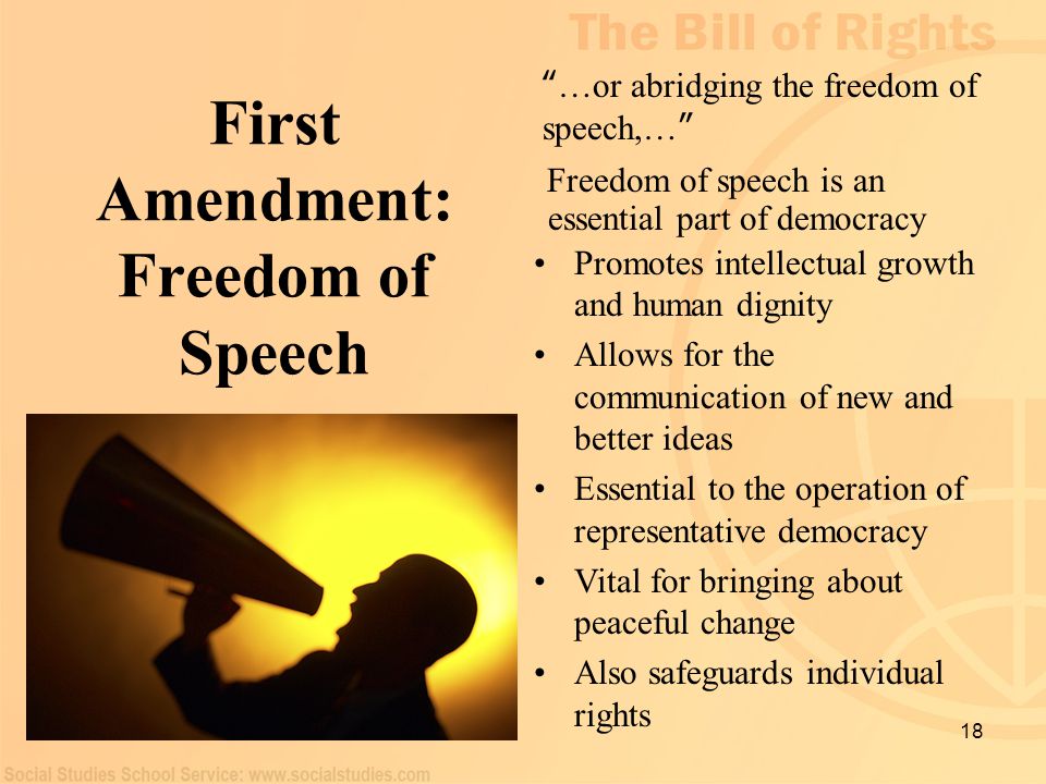 The importance of protecting and preserving the right to freedom of speech